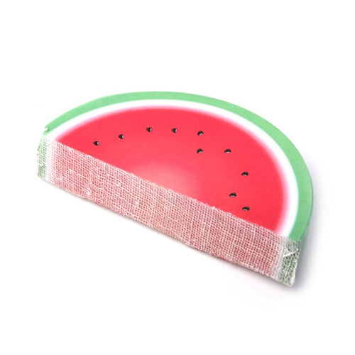 Fruit Watermelon Sticky Note Pad - Sparty Girl